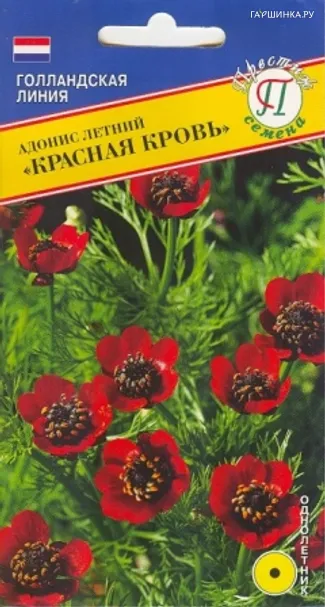 Адонис Красная кровь 0,1 г, Семена Престиж