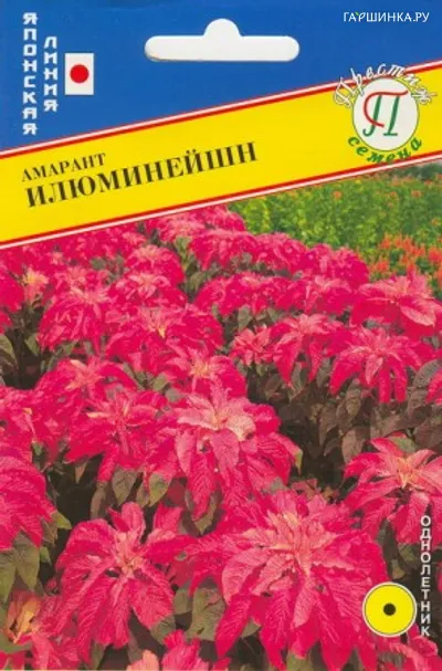 Амарант Илюминейшн 25 шт, Семена Престиж