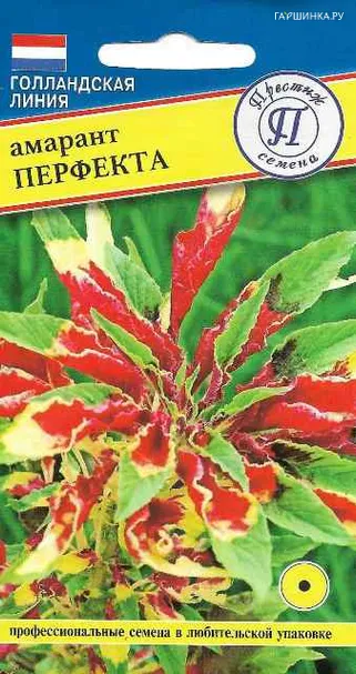Амарант Перфекта 25 шт, Семена Престиж