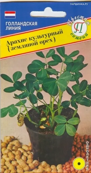 Арахис культурный (земляной орех) 5 шт, Семена Престиж