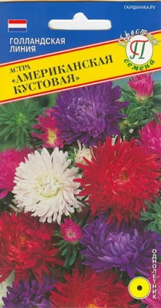 Астра "Американская кустовая" 0,3 гр, Престиж