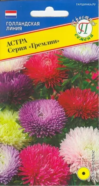 Астра "Гремлин"  Смесь всех цветов 0,3 гр, Престиж