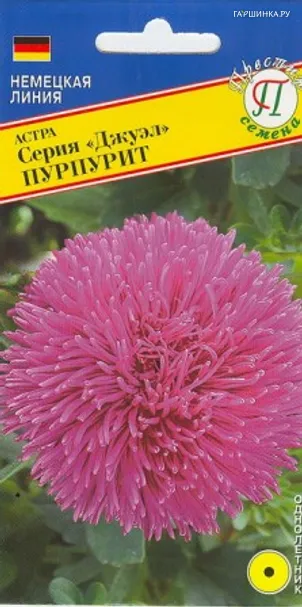 Астра Джуэл Пурпурит 0,3 г, Семена Престиж