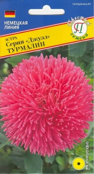 Астра Джуэл Турмалин 0,3 г, Семена Престиж
