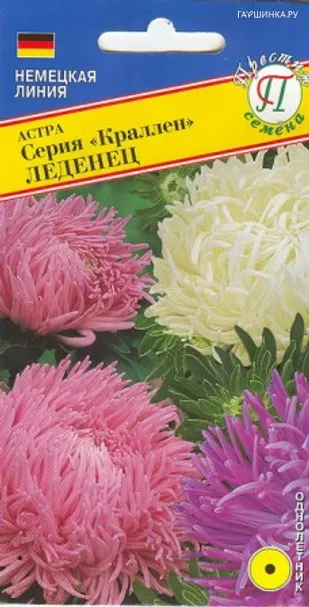 Астра Краллен Смесь Леденец 0,3 г, Семена Престиж