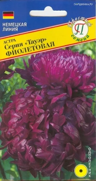 Астра Тауэр Фиолетовая 0,3 г, Семена Престиж