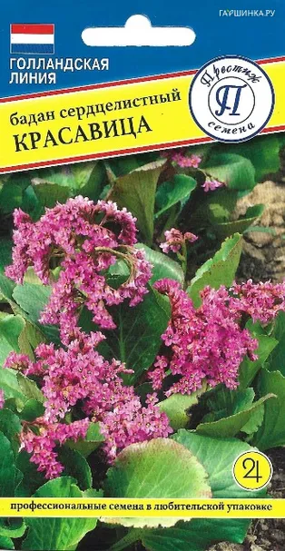 Бадан Красавица 10 шт, Семена Престиж