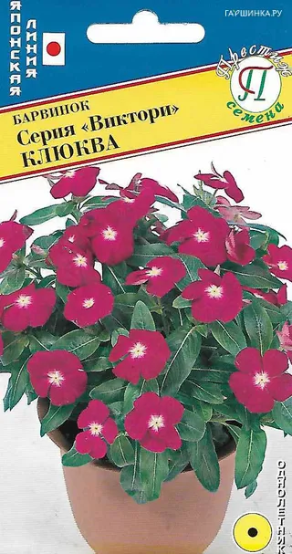 Барвинок Виктори Клюква 10 шт, Семена Престиж
