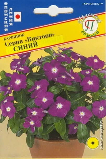 Барвинок Виктори Синий 10 шт, Семена Престиж