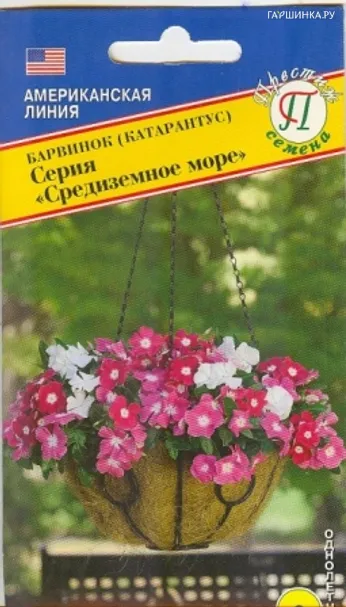Барвинок Средиземное море 5 шт, Семена Престиж
