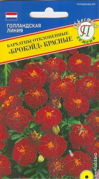 Бархатцы Брокейд Красные отклоненные 20 шт, Семена Престиж