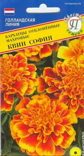 Бархатцы Квин София 20 шт, Семена Престиж
