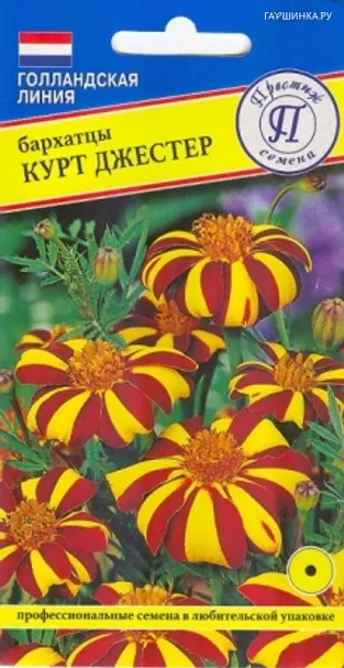 Бархатцы откл. Французские "Курт Джестер" 20 шт, Престиж
