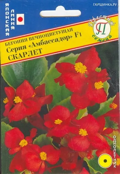 Бегония Скарлет F1 (серия Амбассадор) 15 др, Семена Престиж