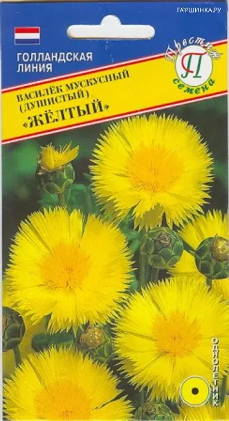 Василек мускусный Желтый 10 шт, Семена Престиж