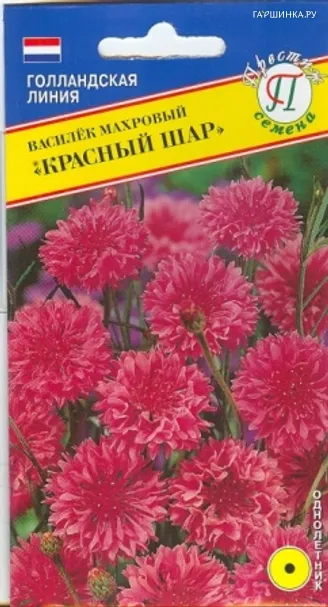 Василек Красный шар синий махровый 10 шт, Семена Престиж