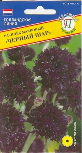 Василек Черный шар синий махровый 10 шт, Семена Престиж