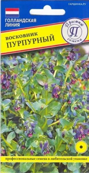 Восковник Пурпурный 0,5 гр, Престиж