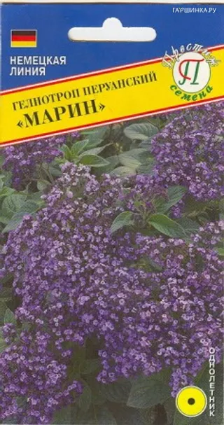 Гелиотроп Марин перуанский 0,03 г, Семена Престиж
