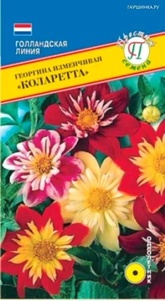 Георгина Коларетта изменчивая 12 шт, Семена Престиж