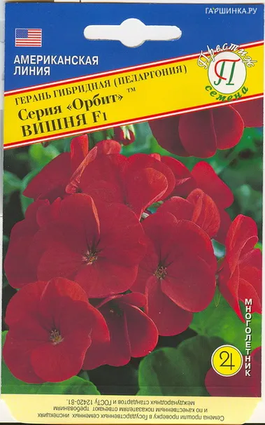 Герань гибридная "Орбит" F1 Вишня 5 шт, Престиж