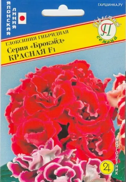 Глоксиния "Брокэйд" Красная F1 10 др, Престиж