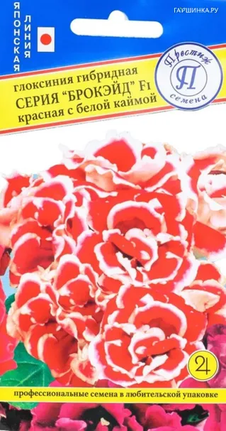 Глоксиния Красная с каймой F1 (Брокэйд)  10 др, Семена Престиж