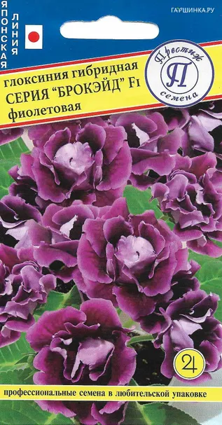 Глоксиния "Брокэйд" Фиолетовая F1 10 др, Престиж