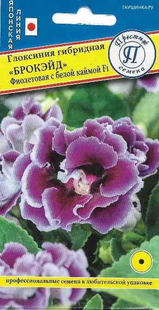 Глоксиния Фиолетовая с каймой F1 (серия Брокэйд) 10 др, Семена Престиж