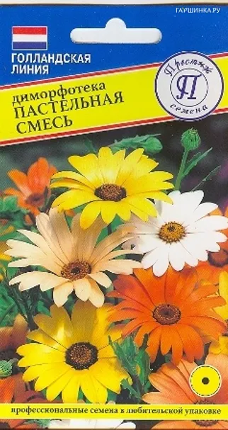 Диморфотека Пастельная Смесь 0,02 г, Семена Престиж
