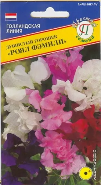 Душистый горошек Роял фэмили 10 шт, Семена Престиж