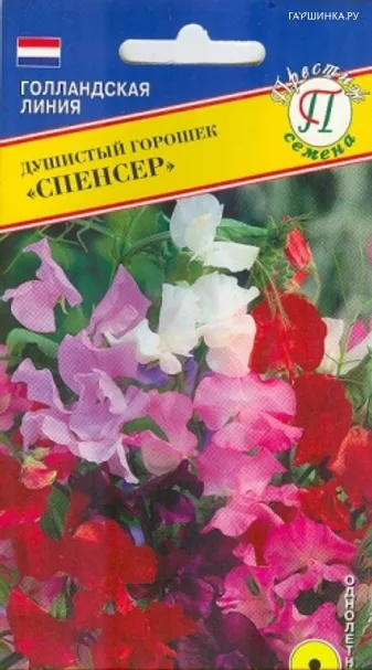 Душистый горошек Спенсер 10 шт, Семена Престиж