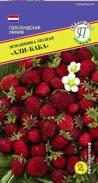 Земляника Али-Баба лесная  0,1 г, Семена Престиж