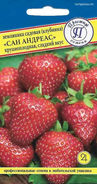 Земляника Сан Андреасс ремонтантная 0,01 г, Семена Престиж