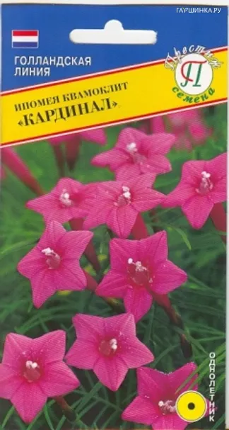 Ипомея "Кардинал" 10 шт, Престиж