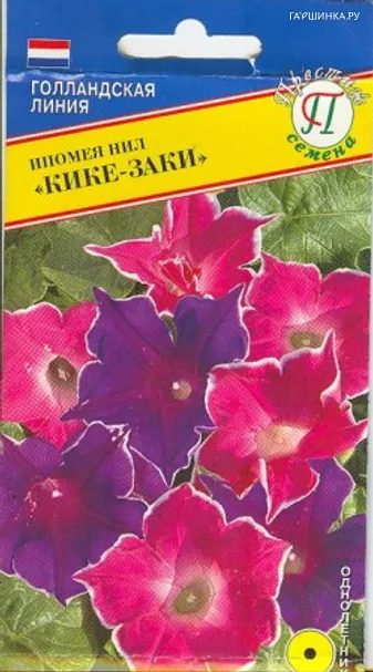 Ипомея "Кике-Заки" 5  шт, Престиж