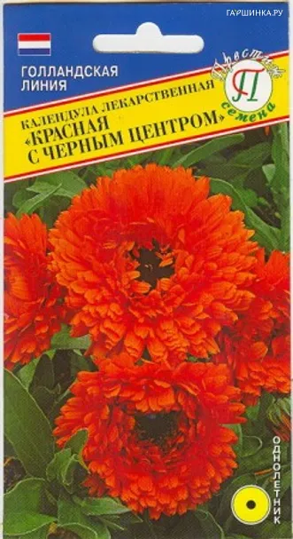 Календула Красная с черным центром 0,3 г, Семена Престиж
