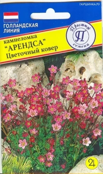 Камнеломка Цветочный ковер 0,01 г, Семена Престиж