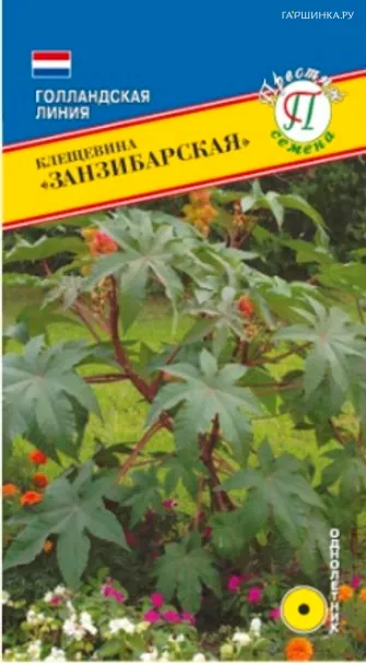 Клещевина Занзибарская 5 шт, Семена Престиж