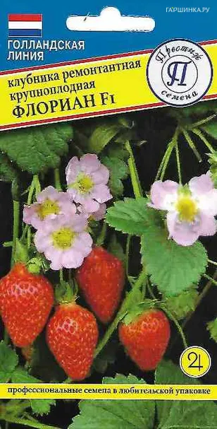 Клубника Флориан F1 ремонтантная крупноплодная 5 шт, Семена Престиж