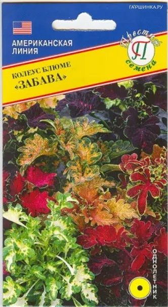 Колеус блюме Забава Смесь 10 шт, Семена Престиж