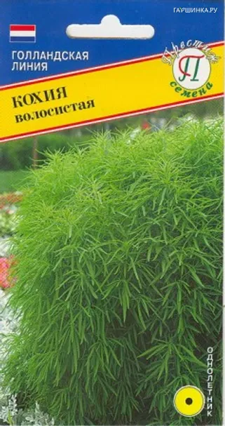 Кохия волосистая 1 г, Семена Престиж