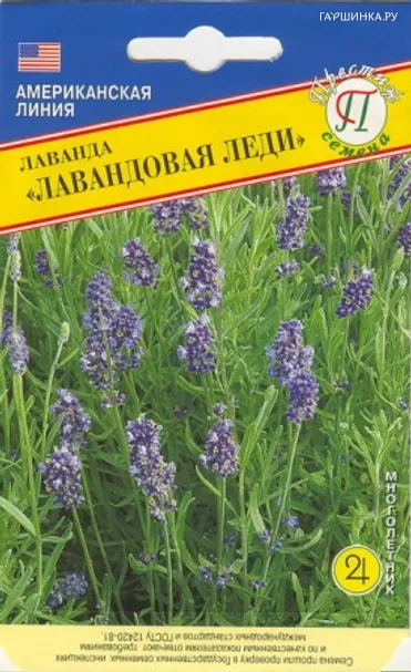 Лаванда Лавандовая леди 0,01 г, Семена Престиж