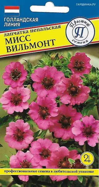Лапчатка Мисс Вильмонт 0,1 гр, Престиж