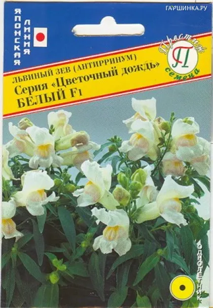 Львиный зев Белый F1 (серия Цветочный дождь) 15 шт, Семена Престиж