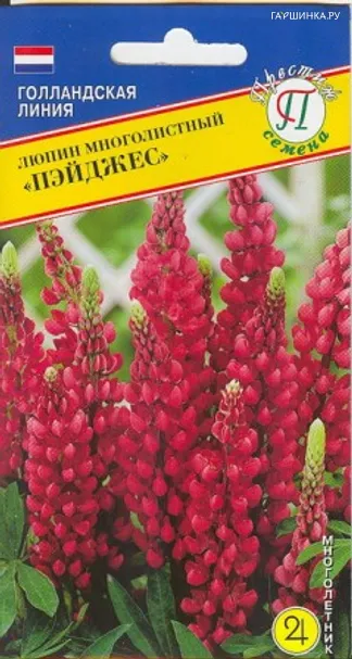 Люпин Пейджес 15 шт, Семена Престиж
