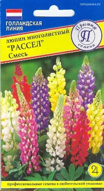 Люпин многолистный Рассел смесь 15 шт, Семена Престиж