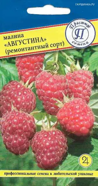 Малина Августина ремонтантная 10 шт, Семена Престиж