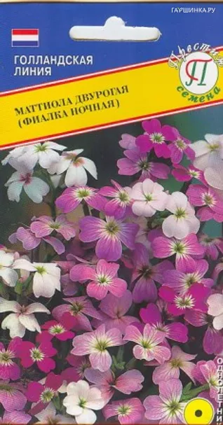 Маттиола двурогая ( Ночная фиалка ) 0,1 г, Семена Престиж