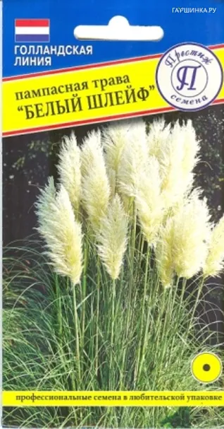 Пампасная трава (Кортадерия) Белый шлейф 0,1 г, Семена Престиж
